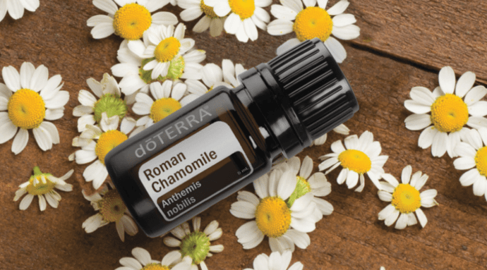 What Roman Chamomile Can Do